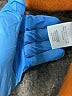 ModCloth 100% Polyester Orange Coat Size M - photo 7