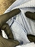 Hayden Blue Short Sleeve Top Size XL - photo 9