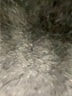 Denizen from Levi's Black Jeggings Size 2 - photo 8