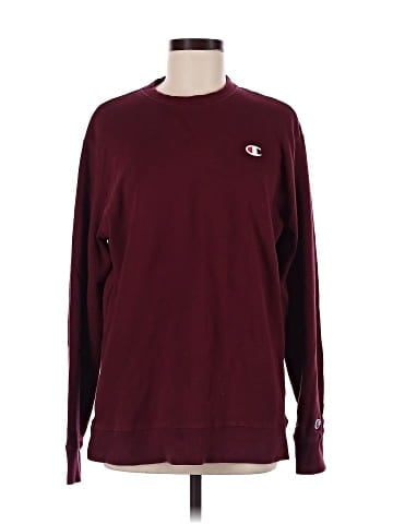 Champion Sweatshirt (view 1)