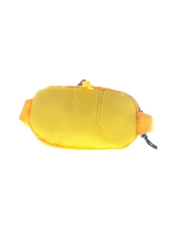 Patagonia Belt Bag (view 2)