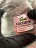 Lacoste 100% Cotton Gray Sweatshirt Size EU 42 / US 12 - photo 7