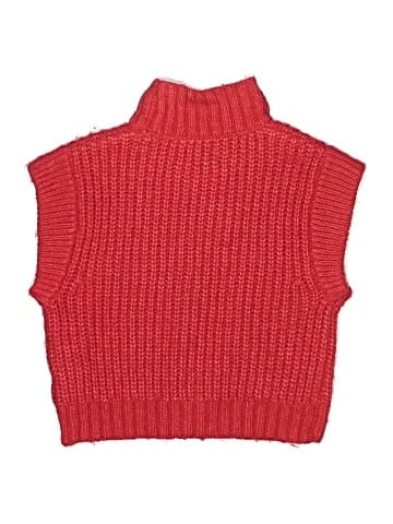 Zara Sweater Vest (view 2)
