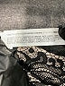Zara Black Formal Skirt Size M - photo 5