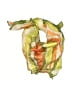 Unbranded Orange Green Scarf One size - photo 1