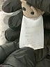 Papermoon Brown Short Sleeve Blouse Size L - photo 8