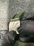 Unbranded Solid Green Active Pants Size M (estimated) - photo 4