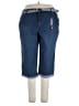 Gloria Vanderbilt Blue Jeans Size 22 - photo 1