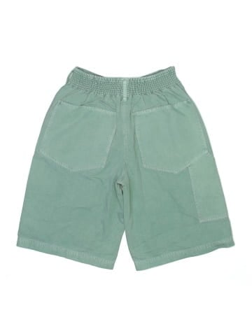Free People Shorts (view 2)