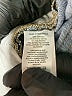 Ann Taylor LOFT Blue Jeans Size 6 - photo 9