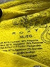 Roxy Yellow Pullover Hoodie Size XL (youth) - photo 3