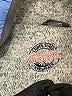 Lauren James Blue Windbreaker Size S - photo 6