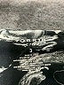 Torrid Graphic Silver Leggings Size 3X Plus (3) - photo 4