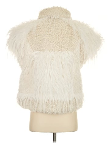 Zara Faux Fur Vest (view 2)