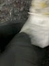 Unbranded 100% Polyester Metallic Silver Gray Pullover Sweater Size M - photo 8