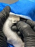 Unbranded Blue Pullover Hoodie Size 4X - photo 7