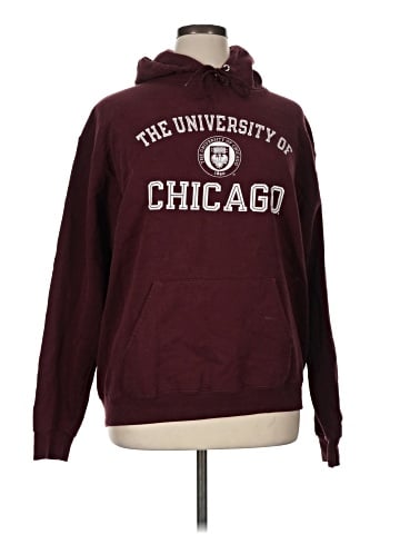 Champion Pullover Hoodie (view 1)