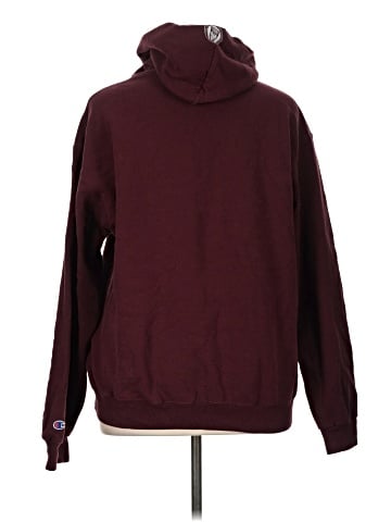 Champion Pullover Hoodie (view 2)