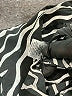 New Glory 100% Polyester Print Black Casual Dress Size S - photo 9