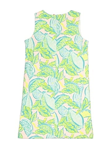 Lilly Pulitzer Dress (view 2)