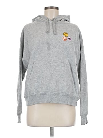 Champion Pullover Hoodie (view 1)