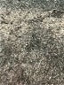 Splendid Solid Gray Formal Skirt Size XS - photo 5