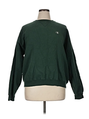 Champion Sweatshirt (view 1)