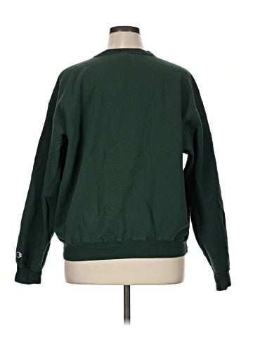 Champion Sweatshirt (view 2)