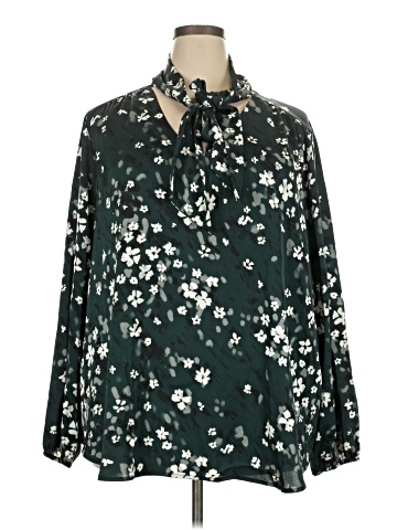 The Limited Long Sleeve Blouse (view 1)