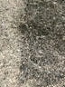 Fleurette 100% Wool Black Wool Coat Size 10 - photo 6