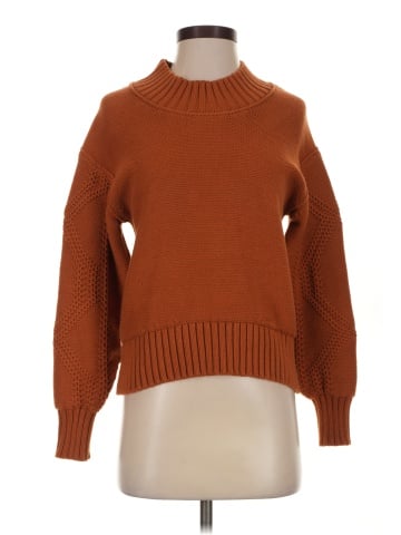 Everlane Turtleneck Sweater (view 1)