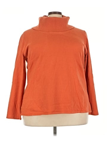 Fashion Bug Turtleneck Sweater (view 1)