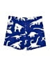 Mini Boden Print Blue Board Shorts Size 11 - photo 1