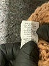 Aerie Tan Pullover Sweater Size L - photo 8