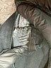 Divided by H&M Black Jeans Size 6 (petite) - photo 8