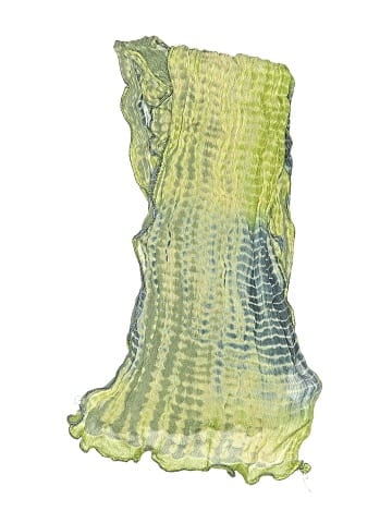 Unbranded Scarf (view 2)