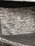Tangerine Gray Active Pants Size S - photo 7