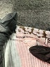 Caution to the Wind 100% Polyester Brown Sleeveless Blouse Size XXL - photo 7