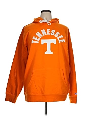 Champion Pullover Hoodie (view 1)