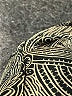 Notations 100% Polyester Paisley Silver Long Sleeve Blouse Size XL - photo 7