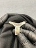 Maurices Black Blazer Size XL - photo 6