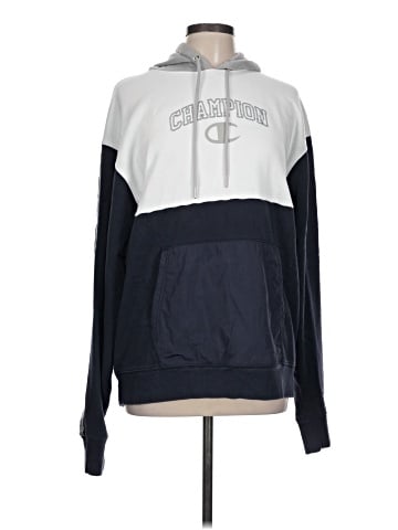 Champion Pullover Hoodie (view 1)