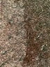 Unbranded Solid Black Formal Skirt Size M - photo 4
