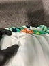 Assorted Brands 100% Rayon Tropical Green Jumpsuit Size L - photo 4