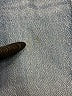Ann Taylor Blue Jeans Size 14 (estimated) - photo 4