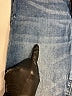 Denizen from Levi's Solid Blue Jeans Size 29 waist - photo 3