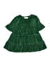 Hanna Andersson Green Dress Size 80 cm / US 12-18 MO - photo 1