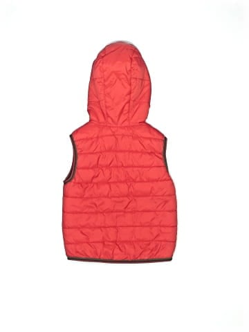 Mayoral Vest (view 2)