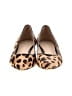 Cole Haan Animal Print Brown Flats Size 6 - photo 2