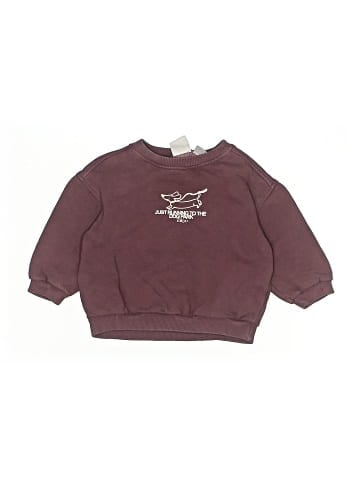Zara Sweatshirt (view 1)